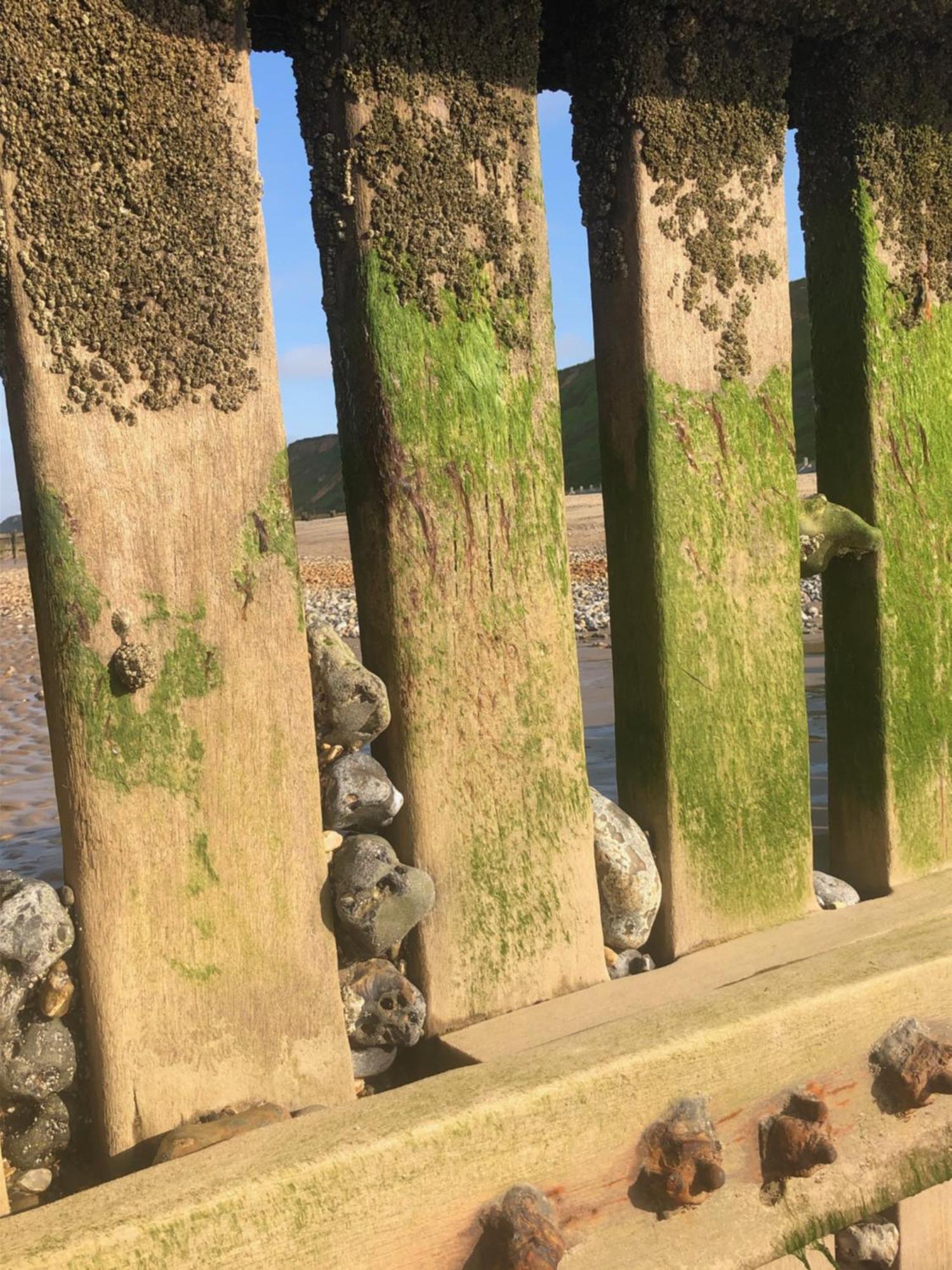 Family Friendly Tower House, Mundesley, 100Yrds From Sandy Beach Екстер'єр фото